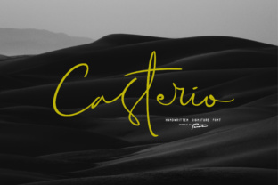 Casterio: The Modern Script Font for Cohesive Brand Identity