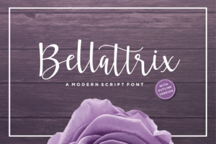Elevate Your Brand Identity with Bellattrix Script Font