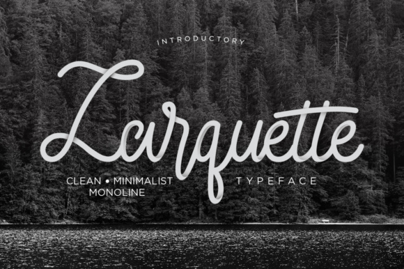 Larquette Font Review: A Sleek Monoline Script for Organic Branding
