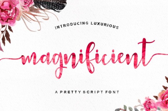 Magnificient: The Script Amp Typeface for Modern Brand Identity
