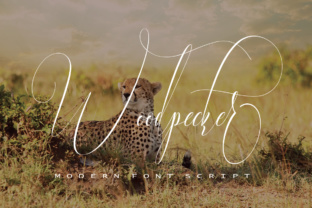 Woodpecker: A Modern Script Typeface for Editorial Design